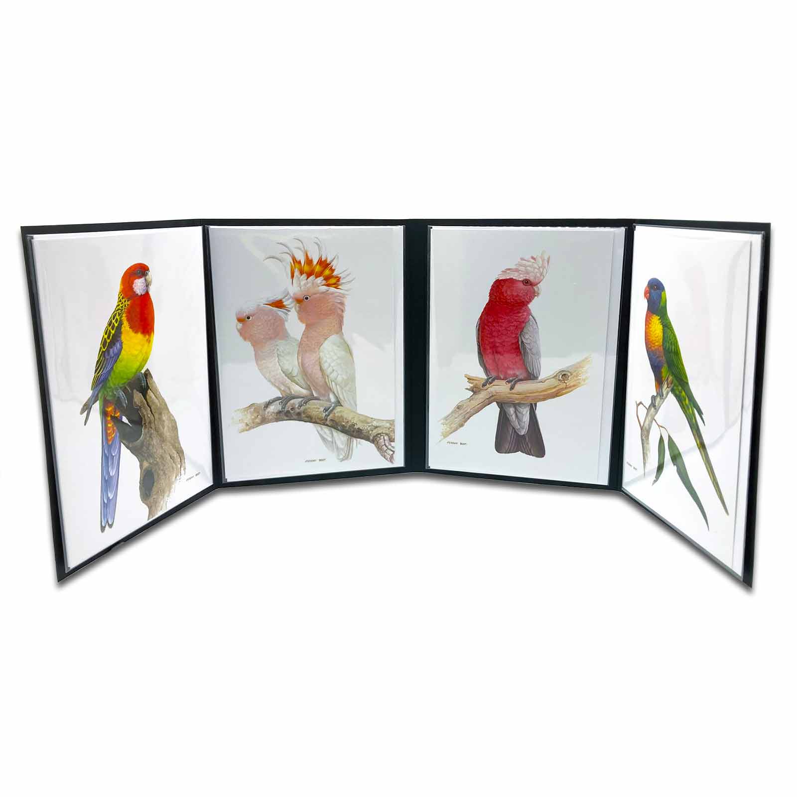 Jeremy Boot Australia&