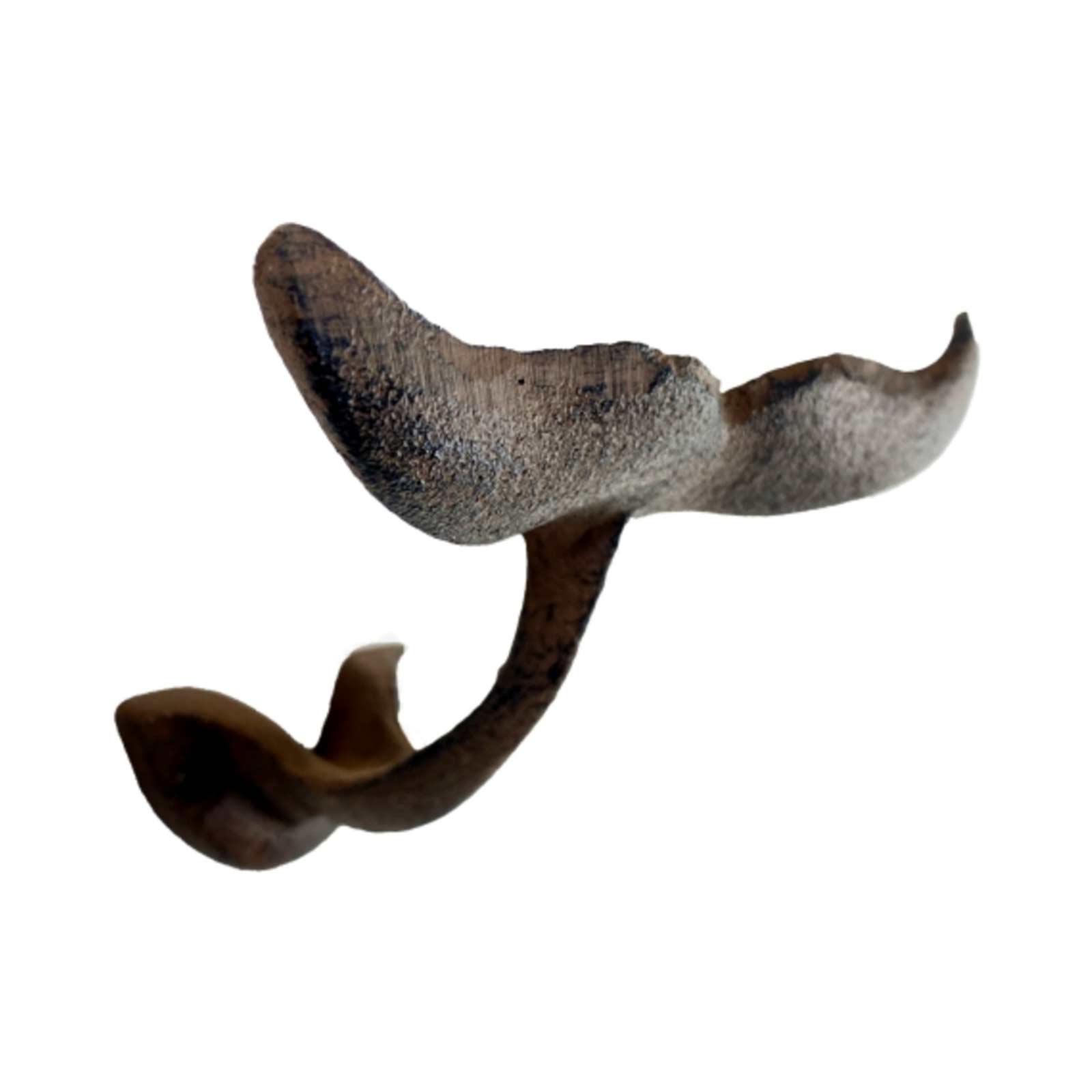 Brown Cast Iron Metal Whale Tail Wall Hook