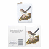 Jeremy Boot Australia&