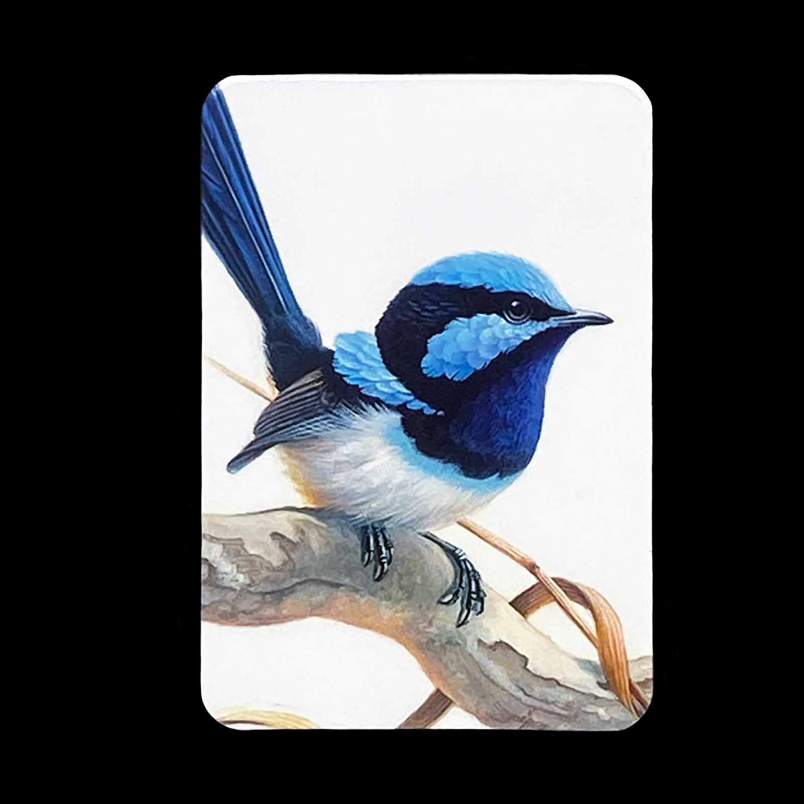 Jeremy Boot Fine Art Magents - Blue Wren