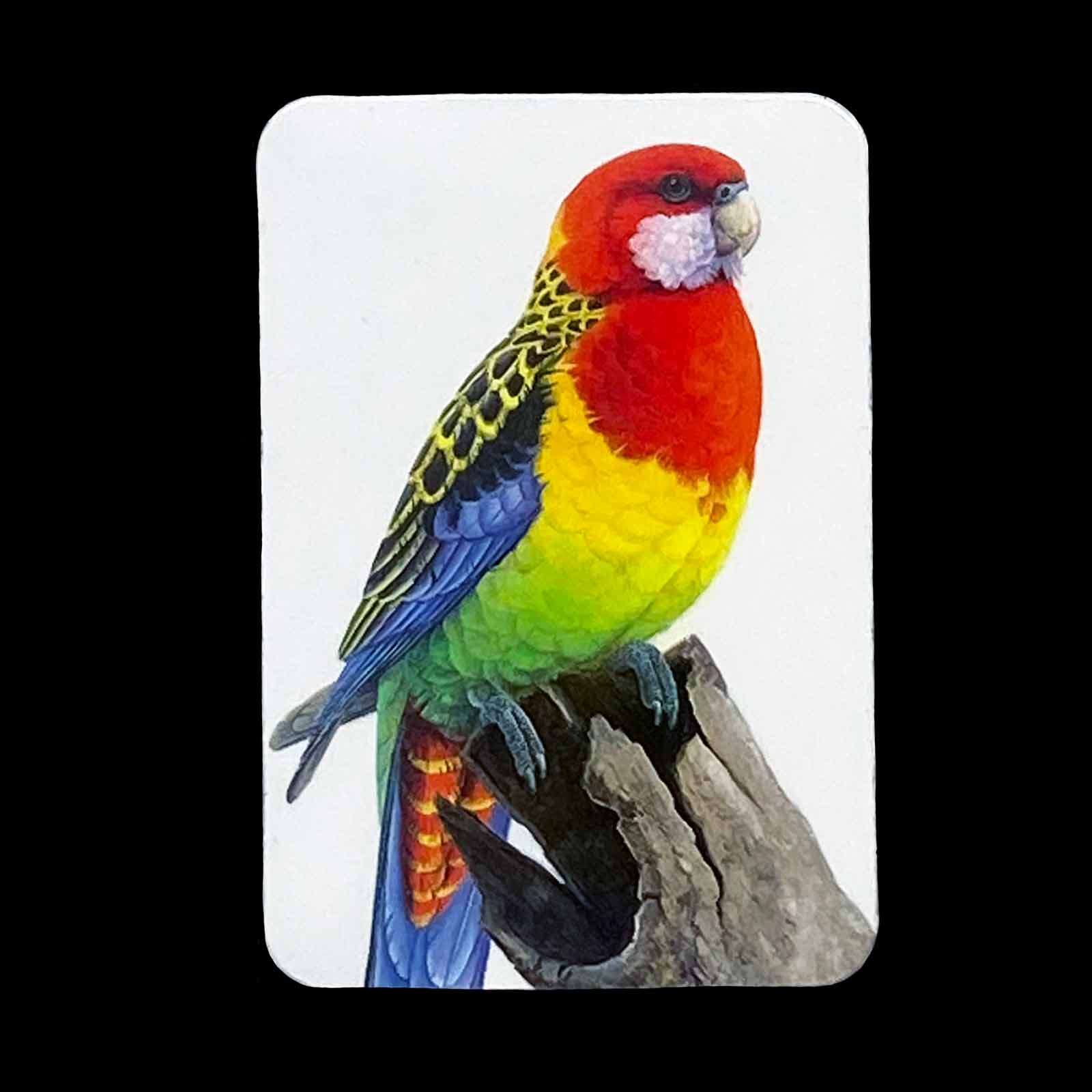 Jeremy Boot Fine Art Magnets - Eastern Rosella