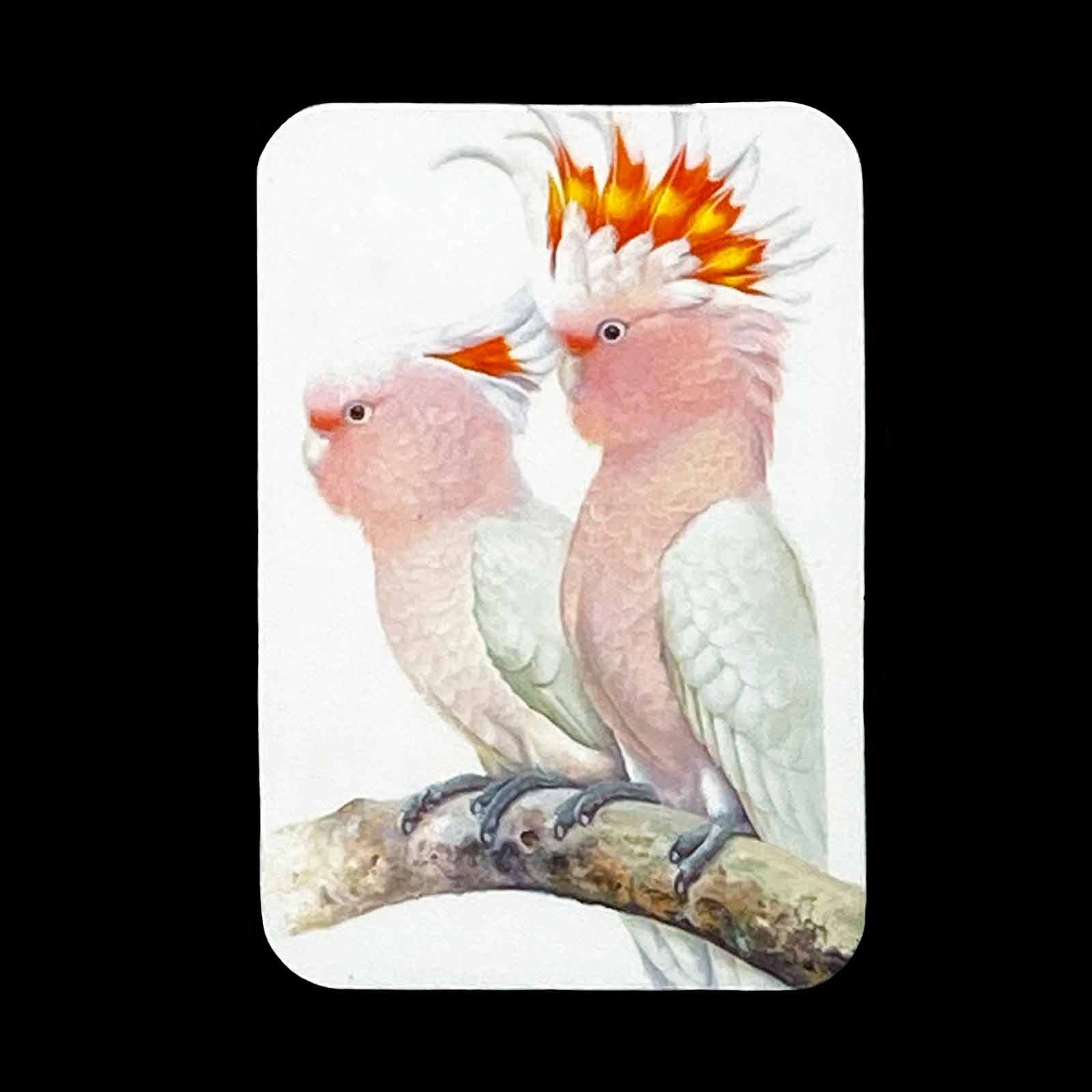 Jeremy Boot Fine Art Magnets - Pink Cockatoo