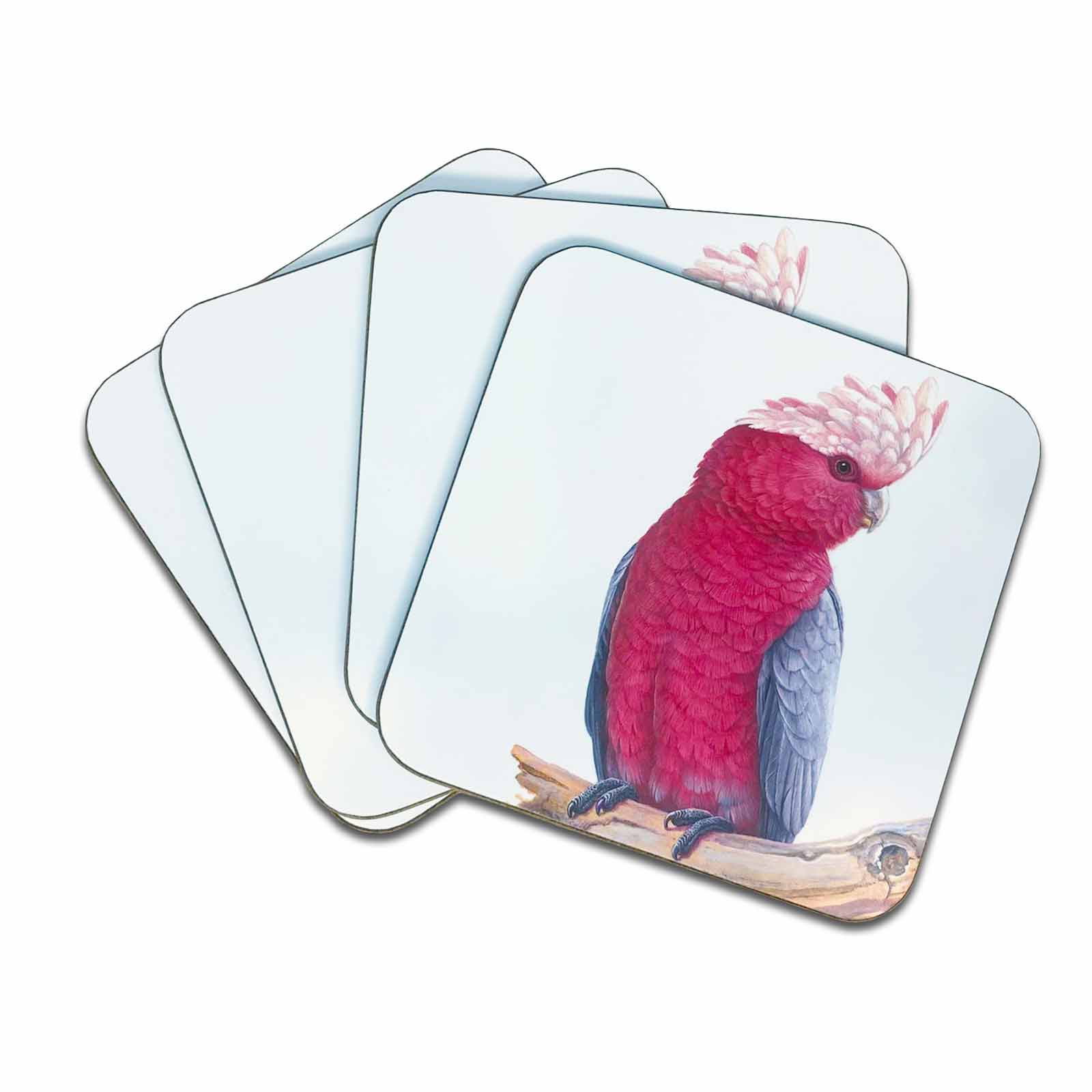 Jeremy Boot Collections Set of 4 Gift Boxed Pink Galah Fine Art Coasters Australian Birds