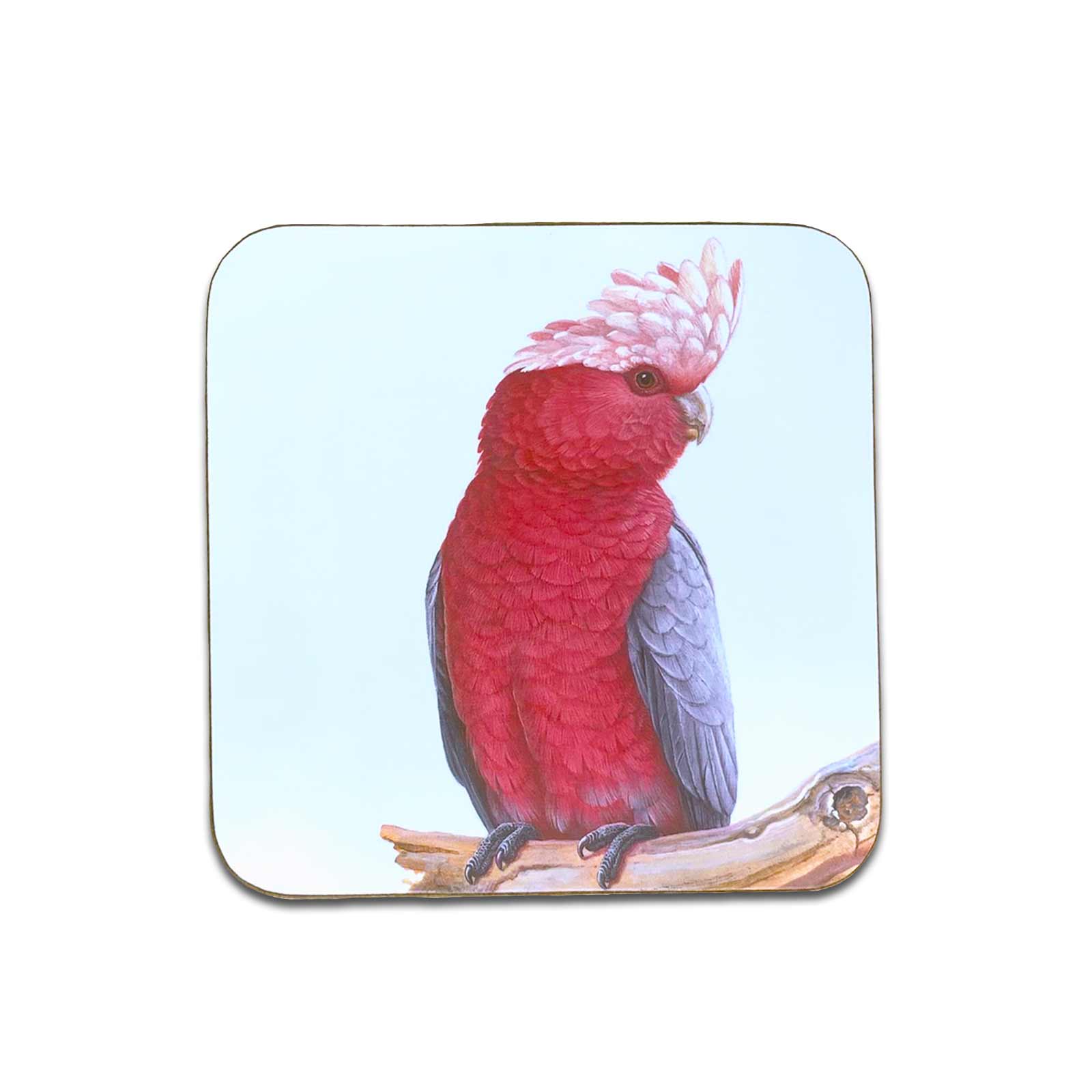 Jeremy Boot Collections Set of 4 Gift Boxed Pink Galah Fine Art Coasters Australian Birds