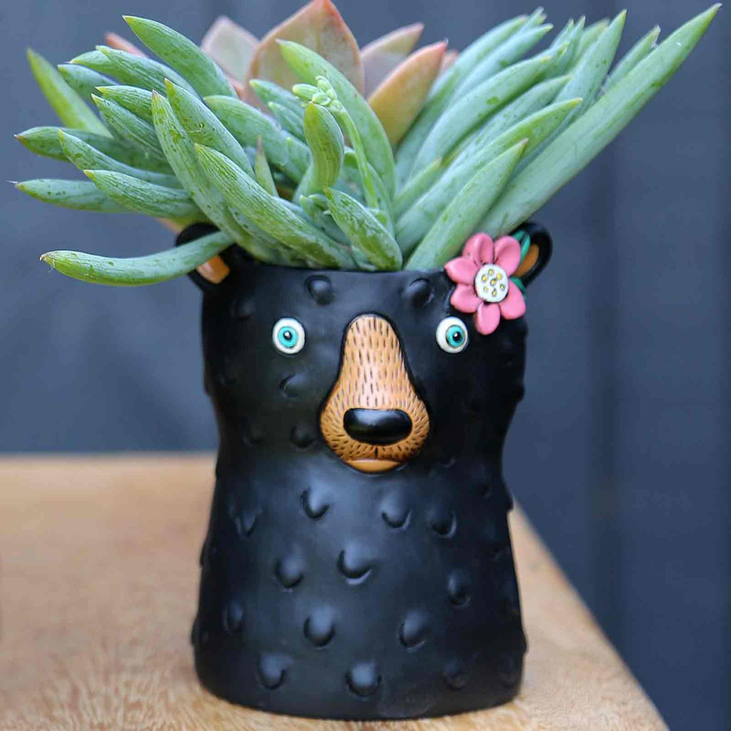 Baby Black Bear Allen Designs Planter