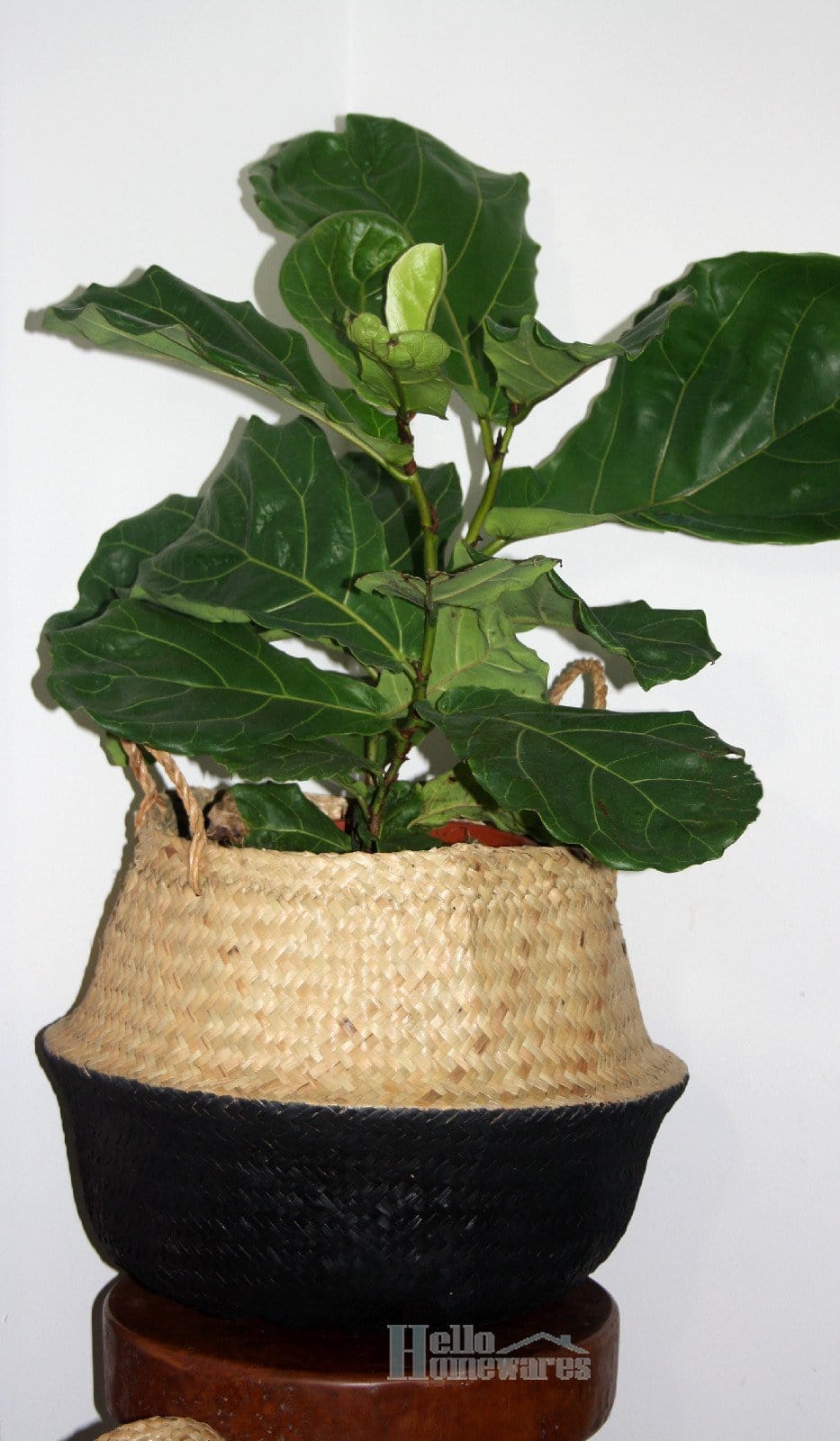 Small Foldable Seagrass Belly Basket - Black.