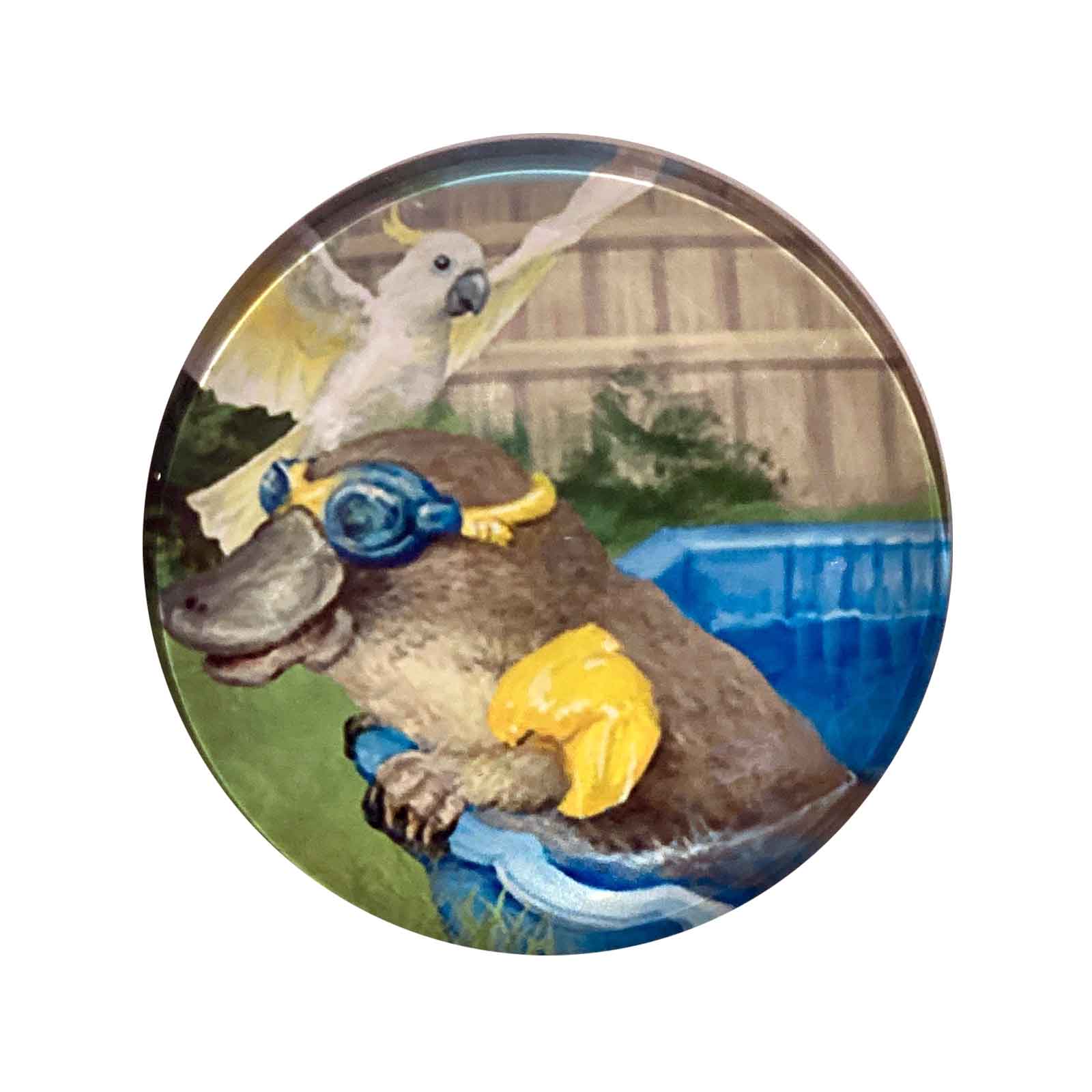 Paddling Platypus Aussie Mates Glass Magnet