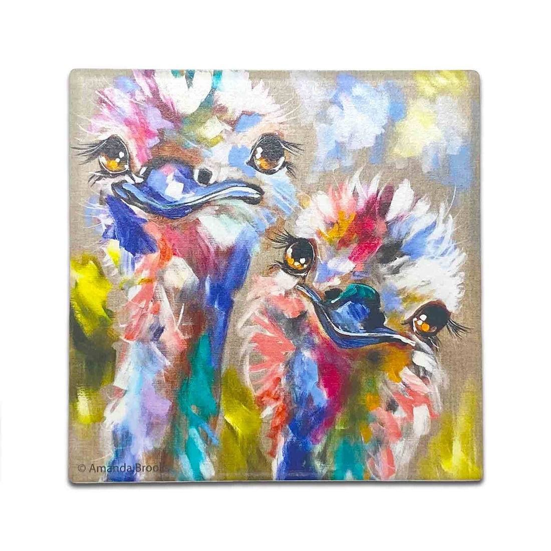 Amanda Brooks Emu Australian Birds Dolomite Stone Absorbent Coaster