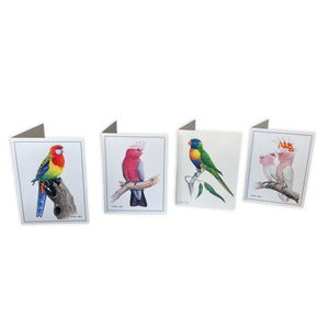 Jeremy Boot Australia's Colourful Parrots Gift Cards - Set of 8