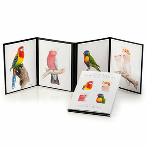 Jeremy Boot Australia's Colourful Parrots Gift Folder - Fine Art Cards
