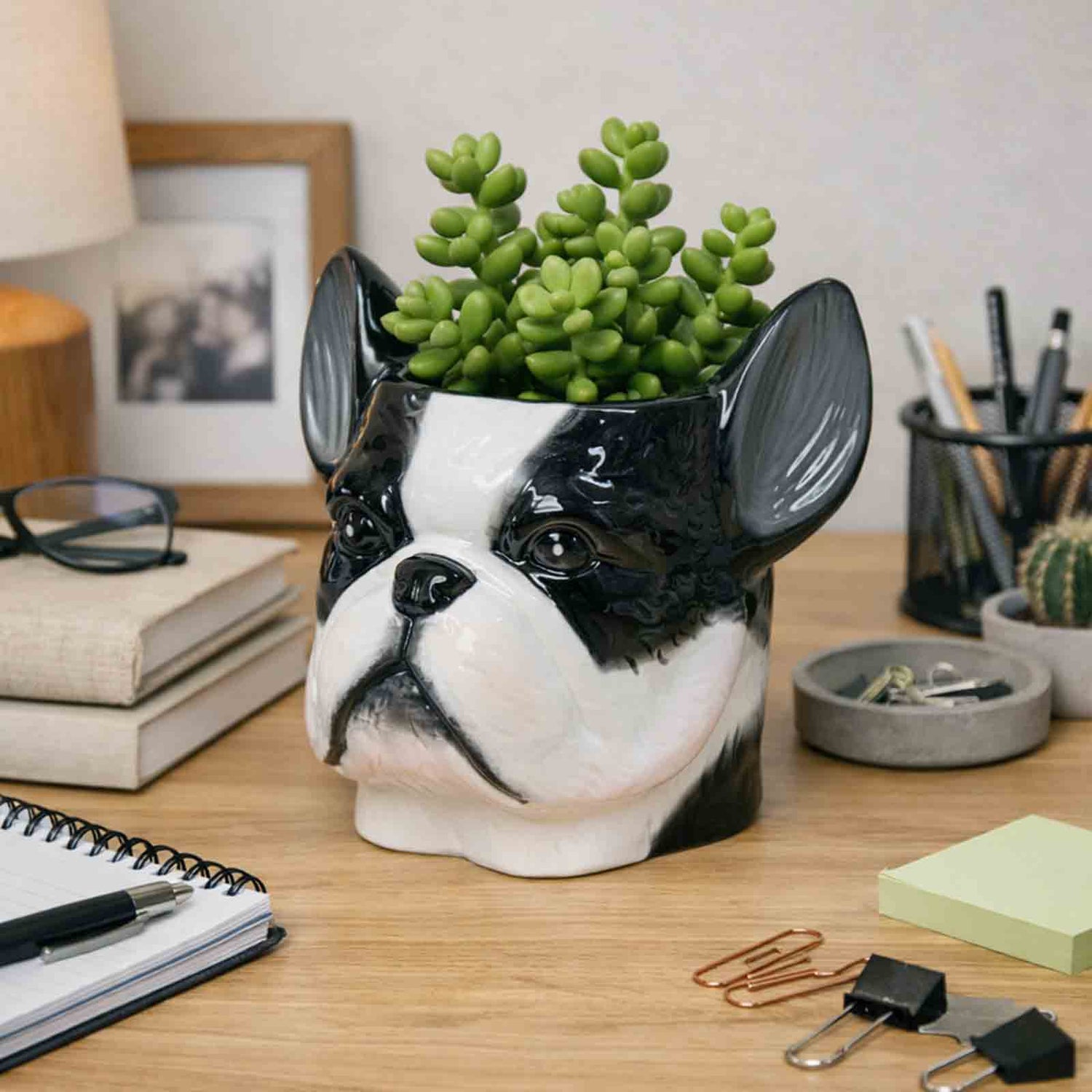 Faux dog head planter with succulents on a desk with office supplies.