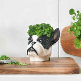 Dog-shaped planter with greenery on a wooden surface