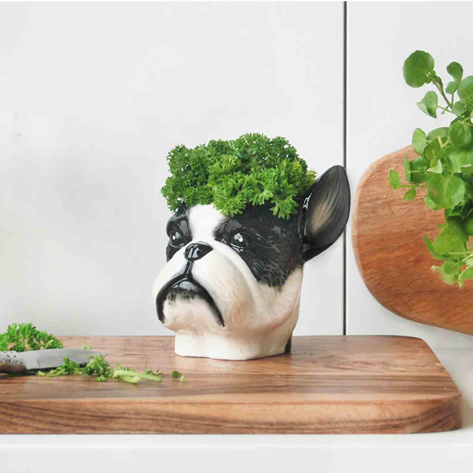 Dog-shaped planter with greenery on a wooden surface