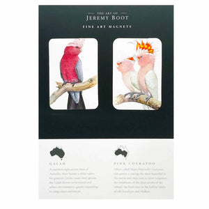 Jeremy Boot Fine Art Magnets - Galah / Pink Cockatoo