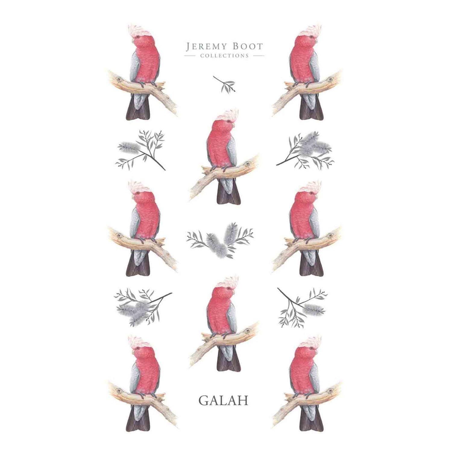 Jeremy Boot Galah Birds of Australia 100% Cotton Tea Towel