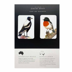 Jeremy Boot Fine Art Magnets - Australian Magpie / Scarlet Robin