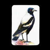 Jeremy Boot Fine Art Magnets - Australian Magpie