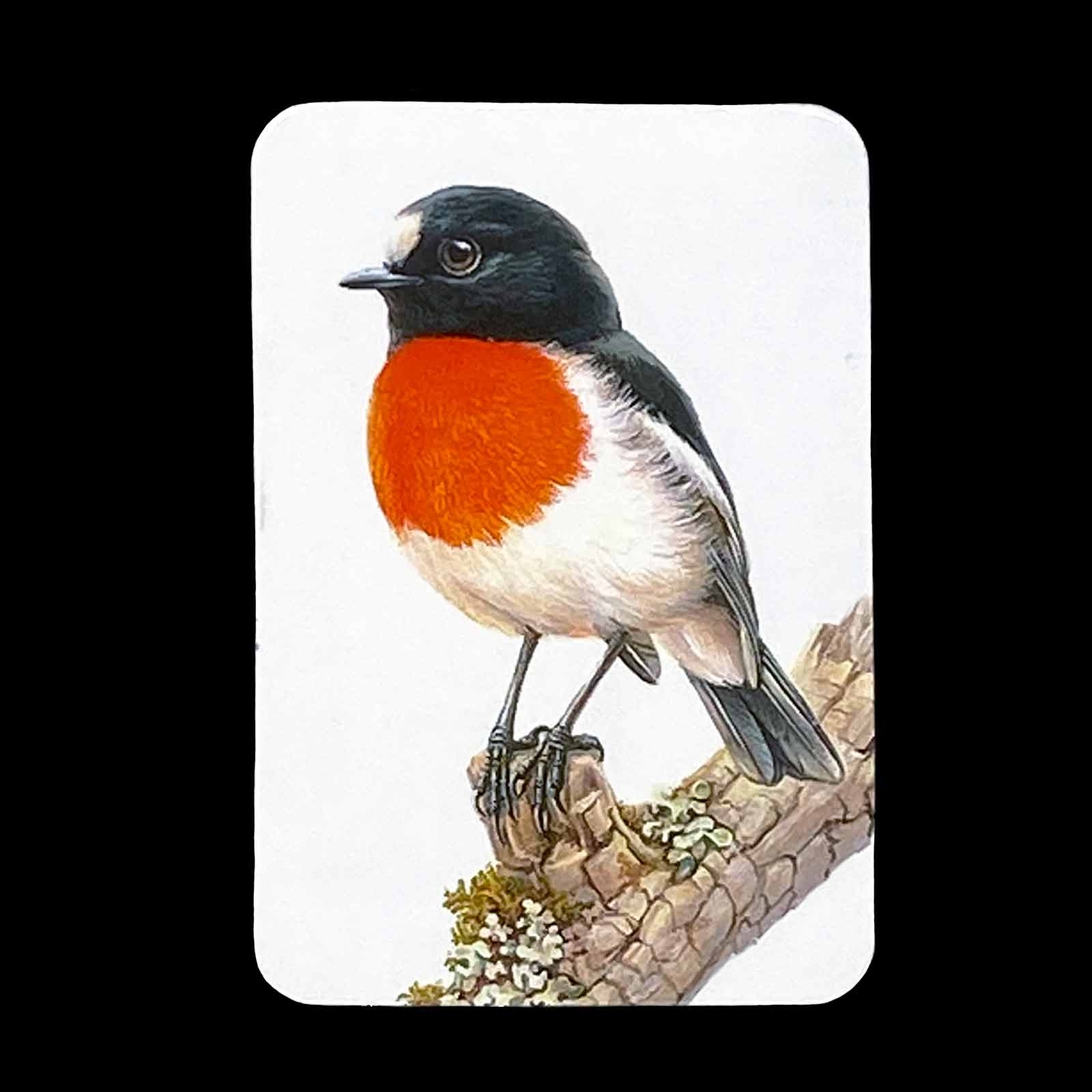 Jeremy Boot Fine Art Magnet - Scarlet Robin