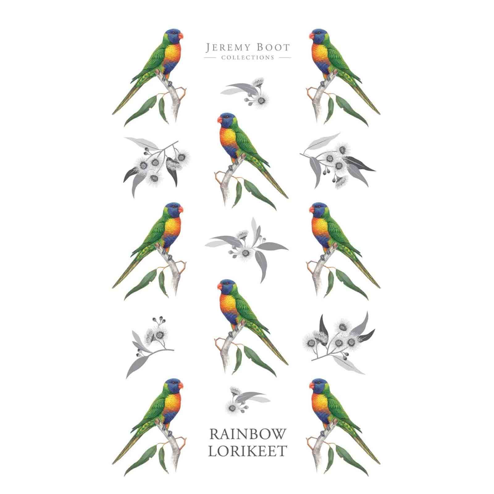 Jeremy Boot Rainbow Lorikeet Birds of Australia 100% Cotton Tea Towel