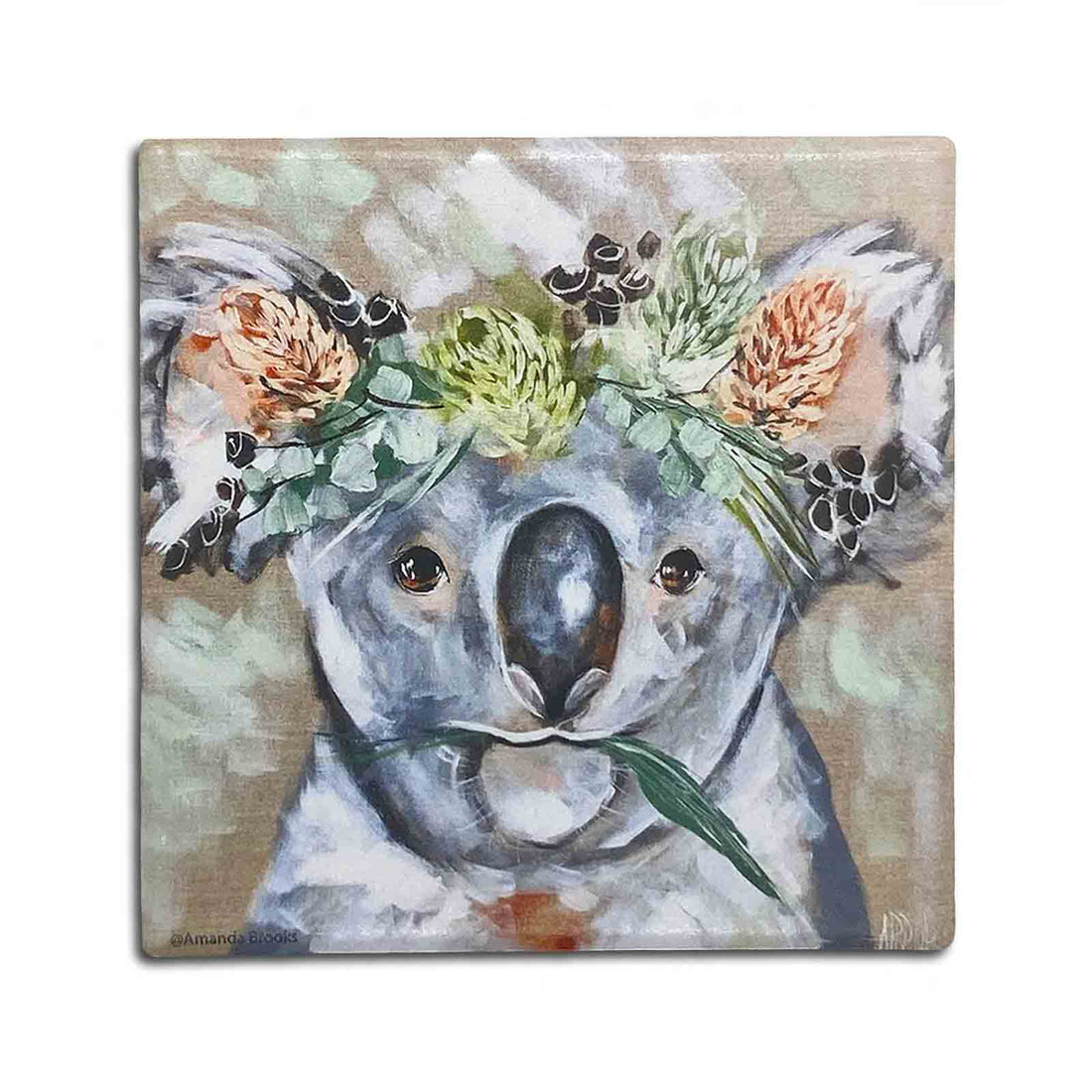 Forget Me Not Australian Marsupials - Koala - Set of 4 Souvenir Gift Dolomite Stone Absorbent Coasters