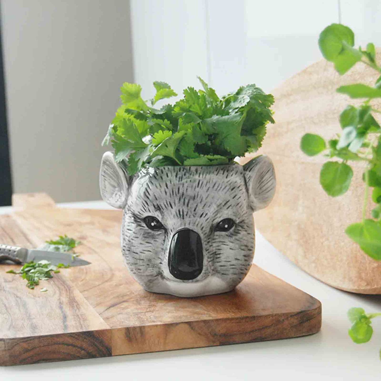 Ceramic koala planter with greenery on a wooden cutting board.