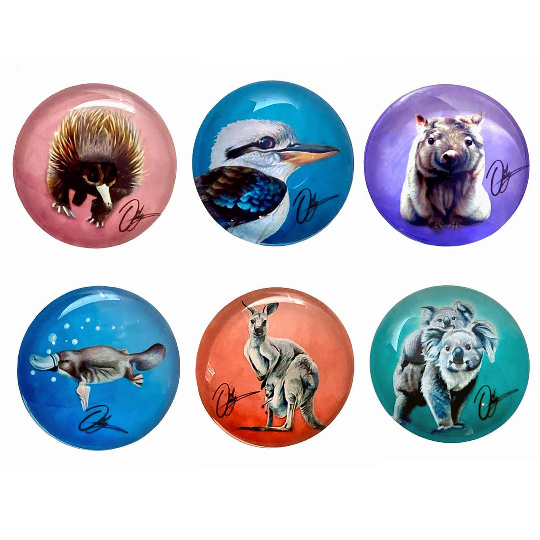Australian Animals Glass Magnets
