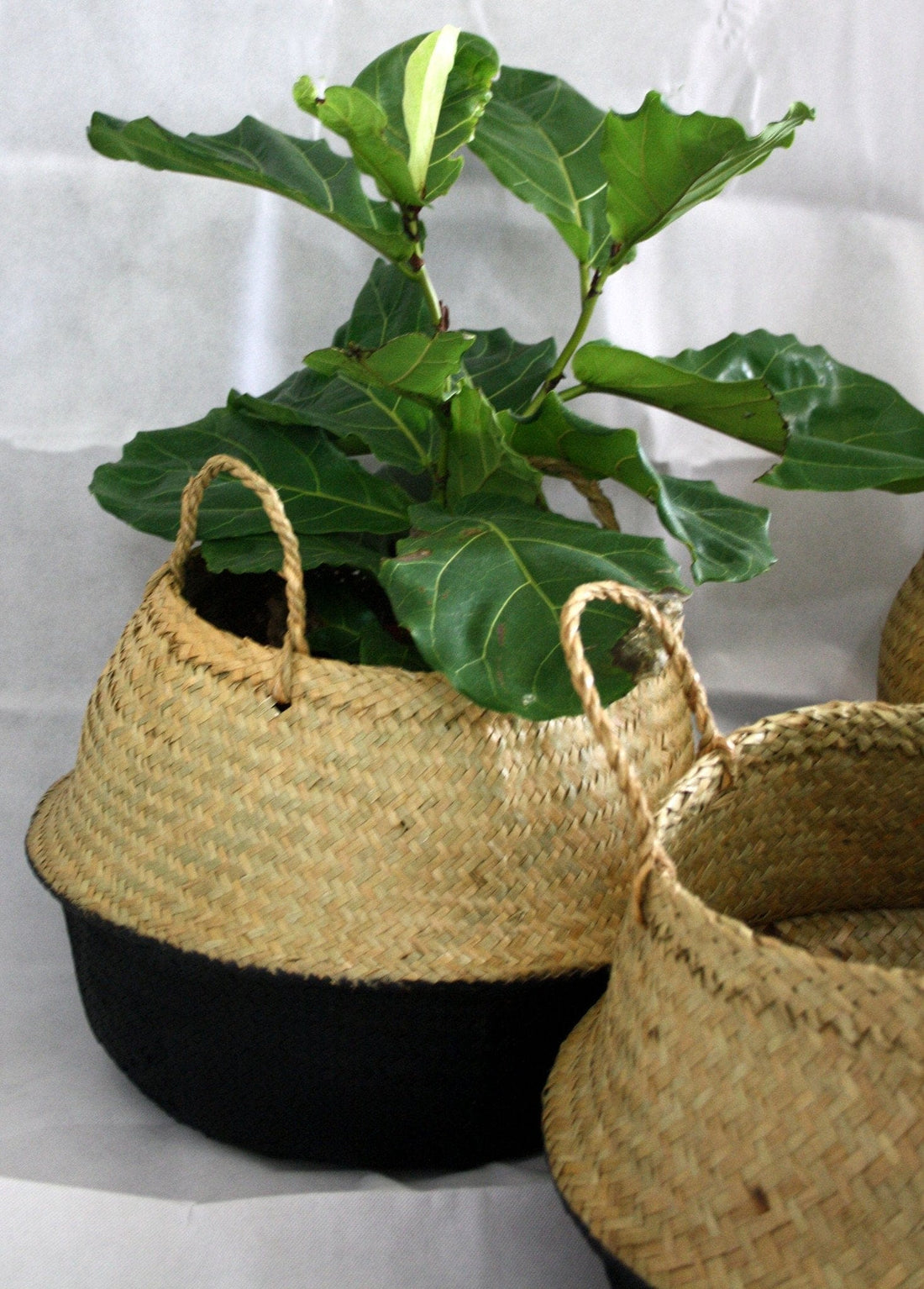 Medium Foldable Seagrass Belly Basket - Black.