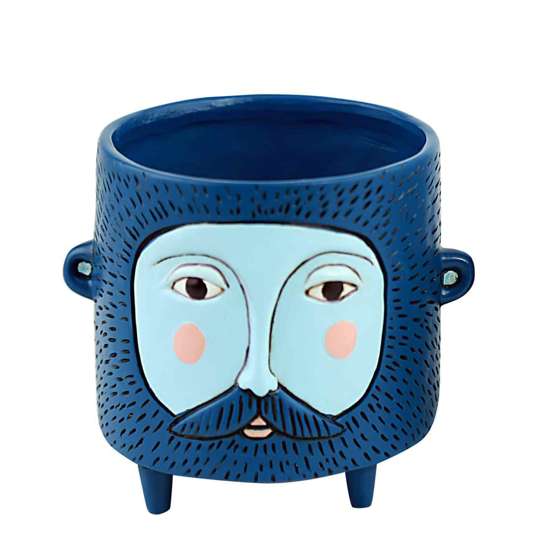 Baby Blue Hairy Jack Pot Planter Allen Designs