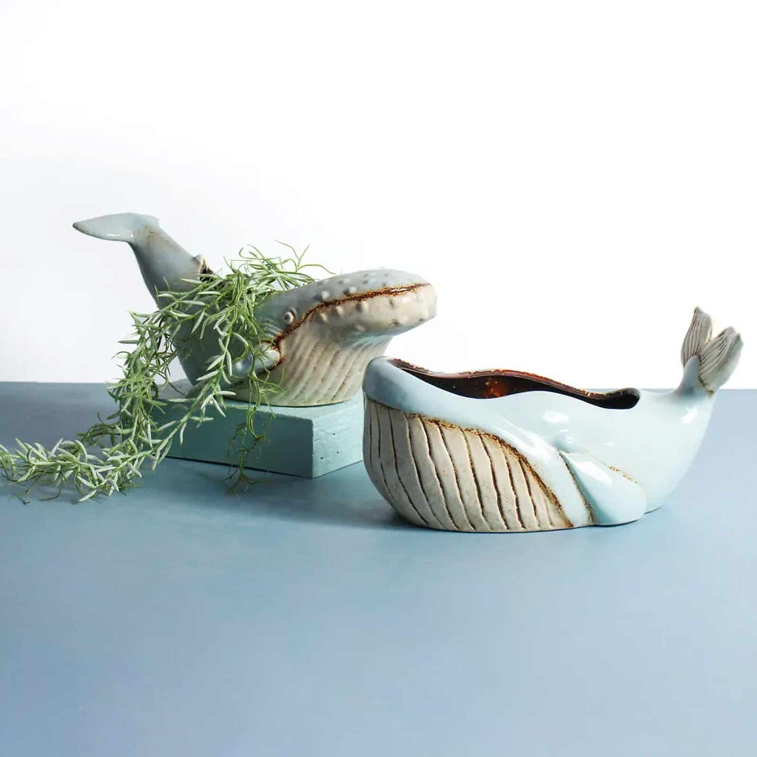 Blue Whale Pot Planter / Bowl