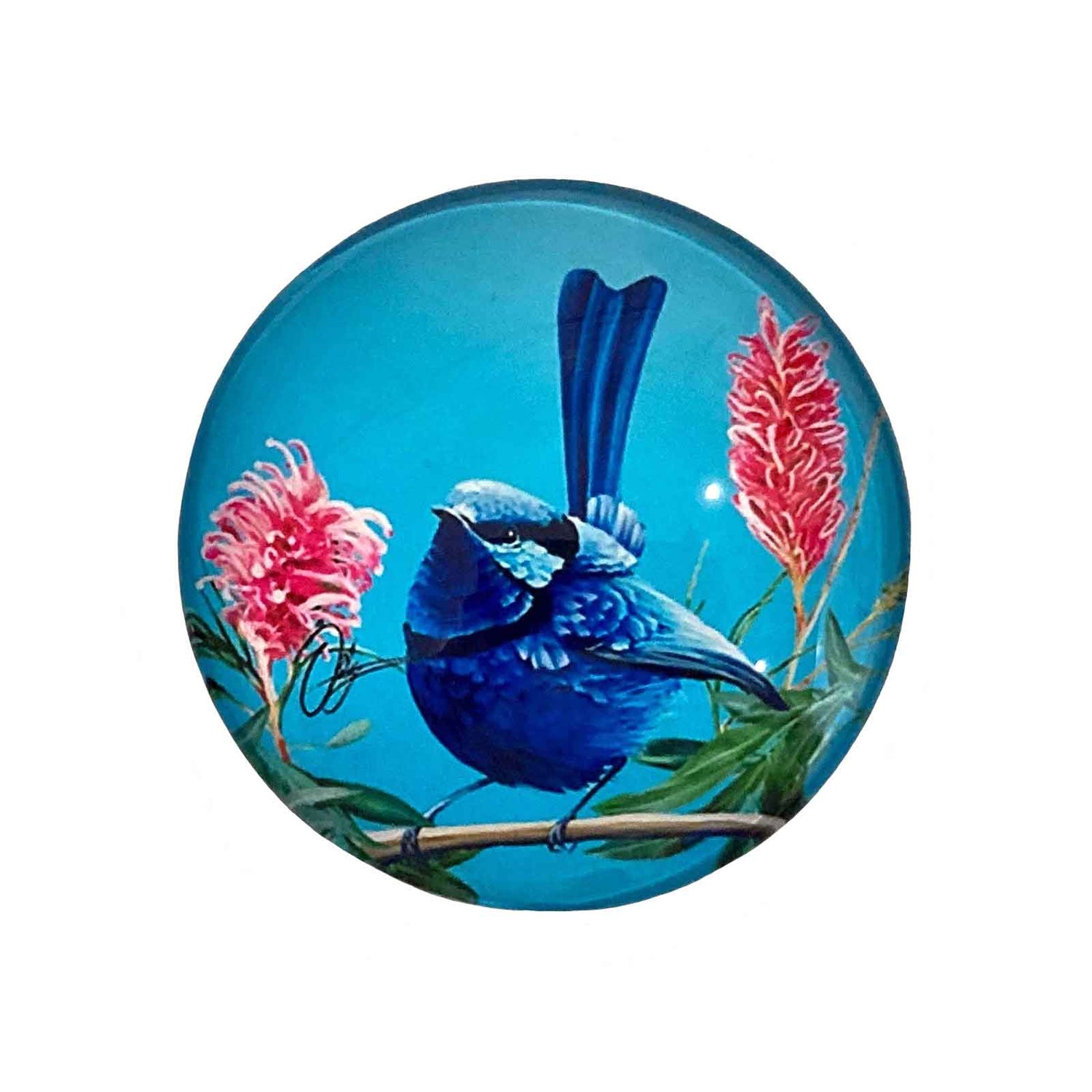 Blue Wren Birds of Australia Magnet - Hello Homewares