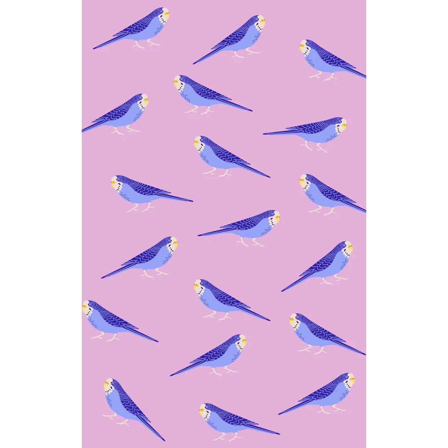 Budgies 100% Cotton Tea Towel