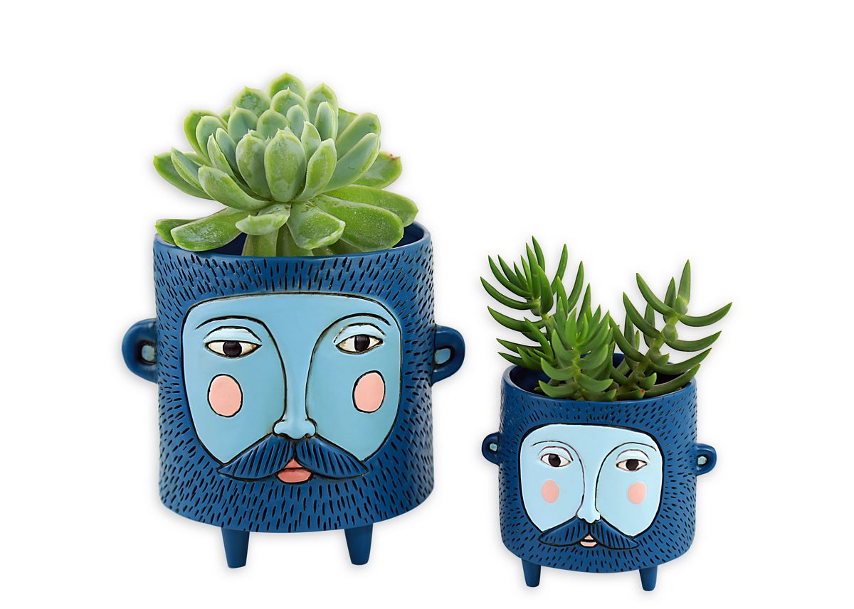 Baby Blue Hairy Jack Pot Planters Large and Small Allen Designs