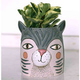 FAT CAT Pot Planter by Allen Designs