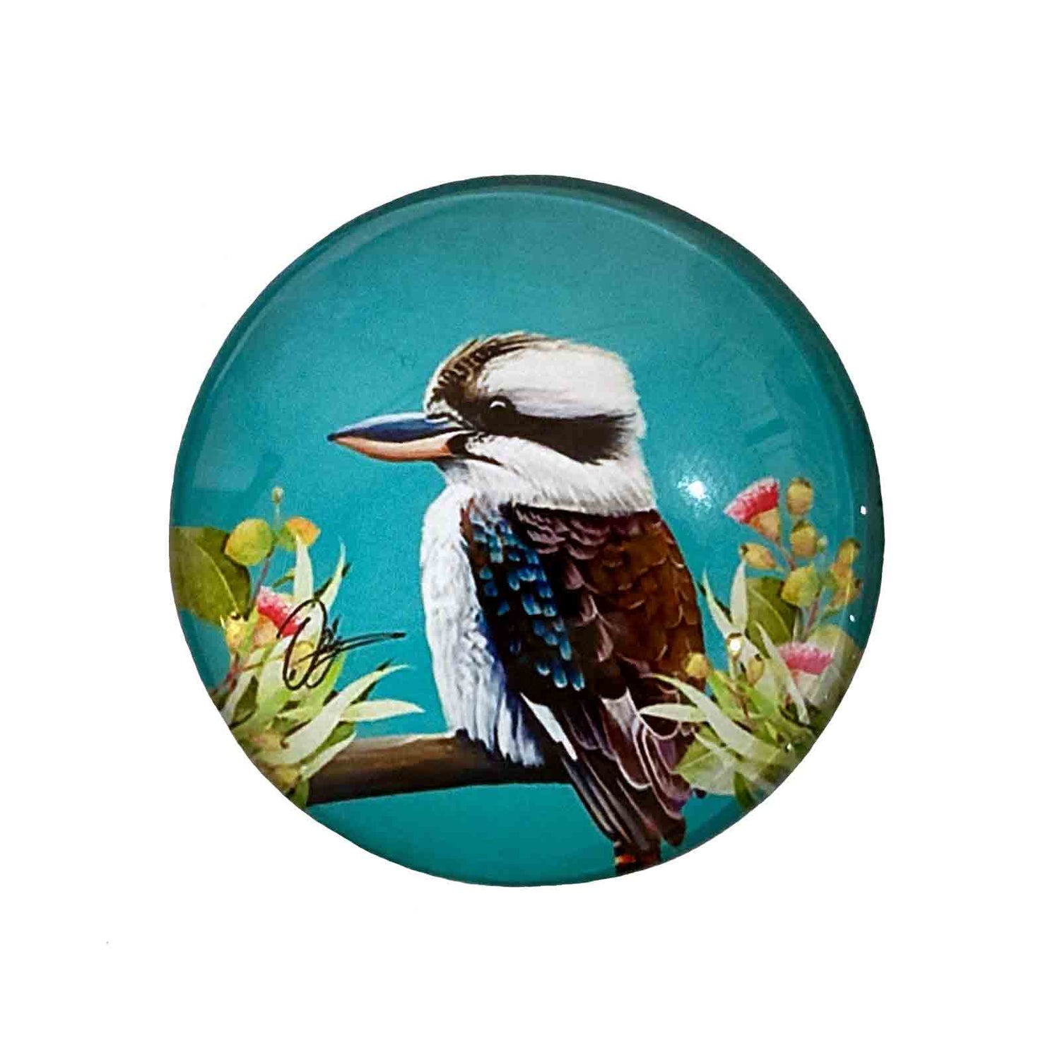 Kookaburra Birds of Australia Magnet - Hello Homewares