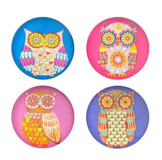 Large Owl Glass Magnets - Set of 4.