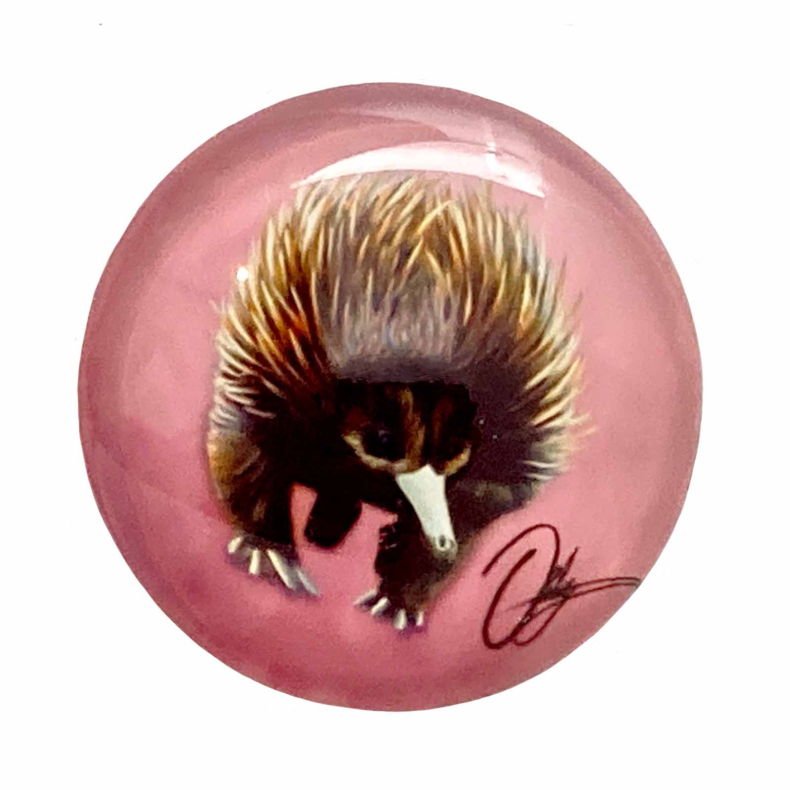 Echidna - Australian Animals Glass Magnet