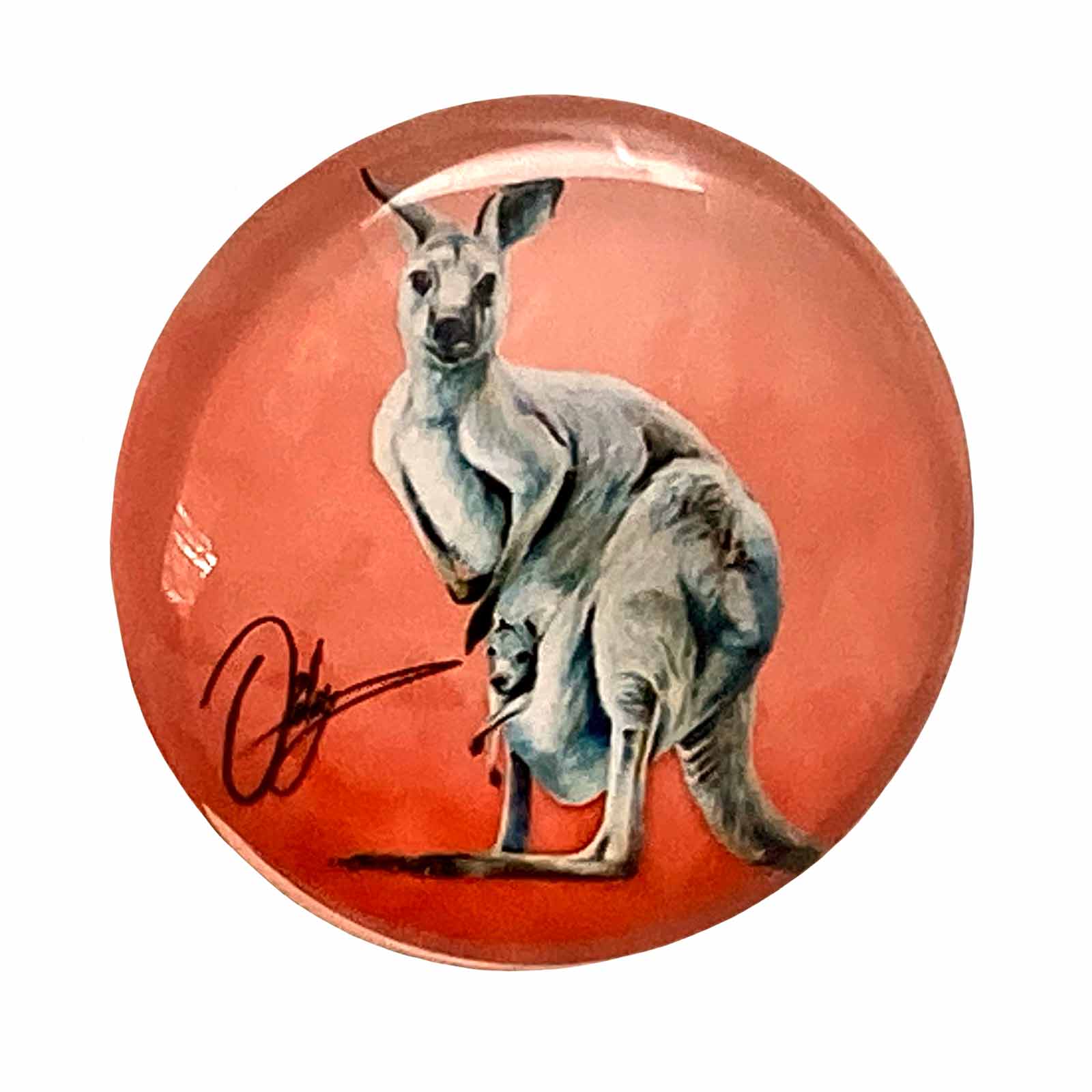 Kangaroo - Australian Animals Glass Magnet